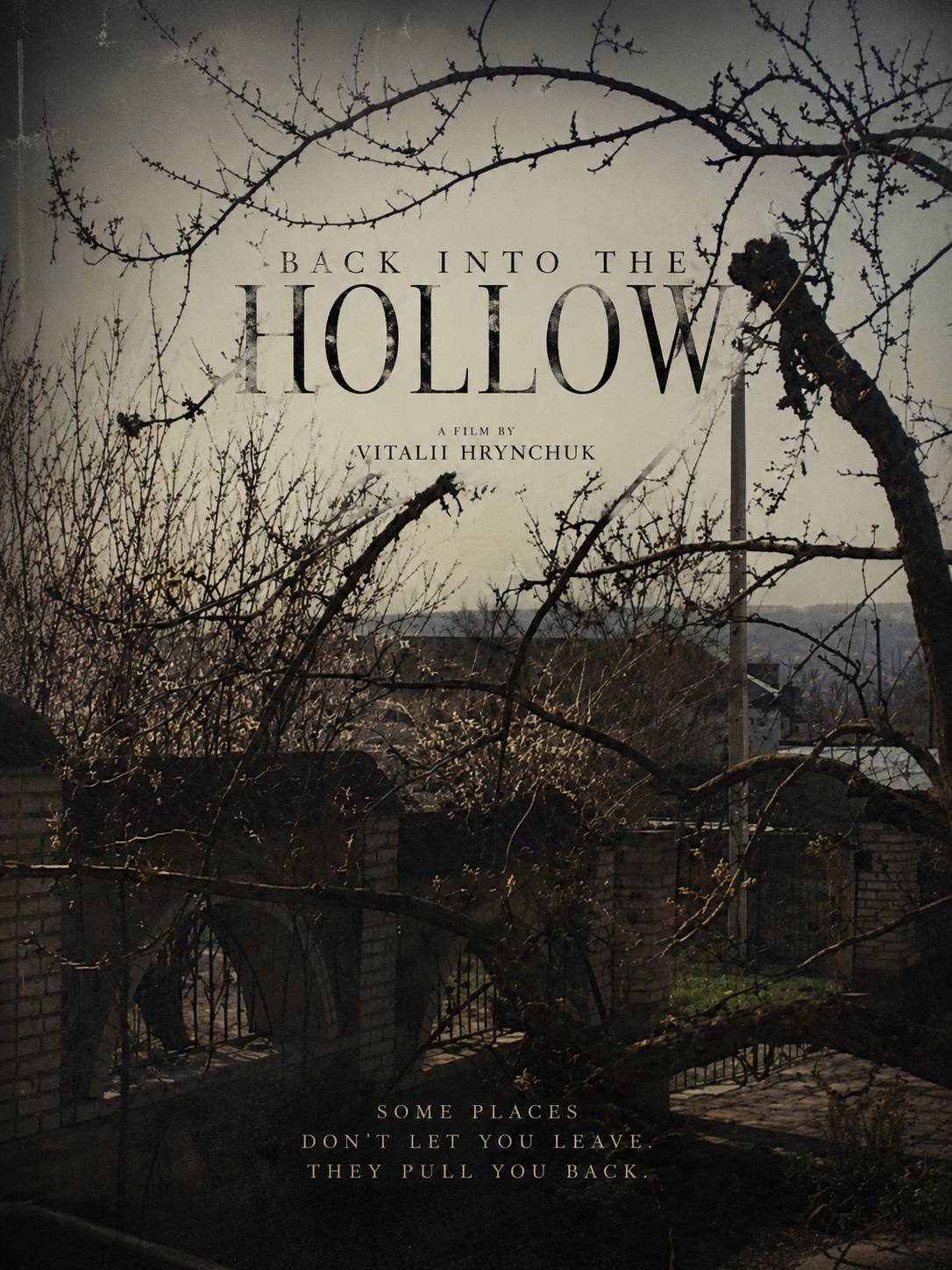 Back Into The Hollow — poster